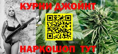 молекула духа Будённовск