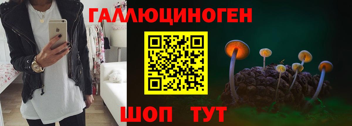 Галлюциногенные грибы прущие грибы Карачаевск